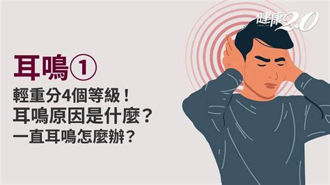 耳朵有聲音|耳朵嗡嗡響、耳鳴怎麼辦？圖解6大耳鳴原因，4症狀速。